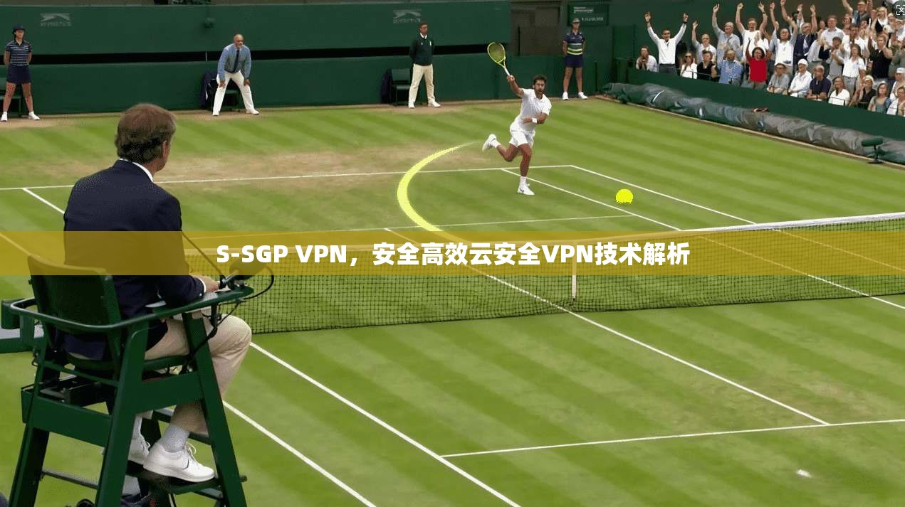 S-SGP VPN，安全高效云安全VPN技术解析