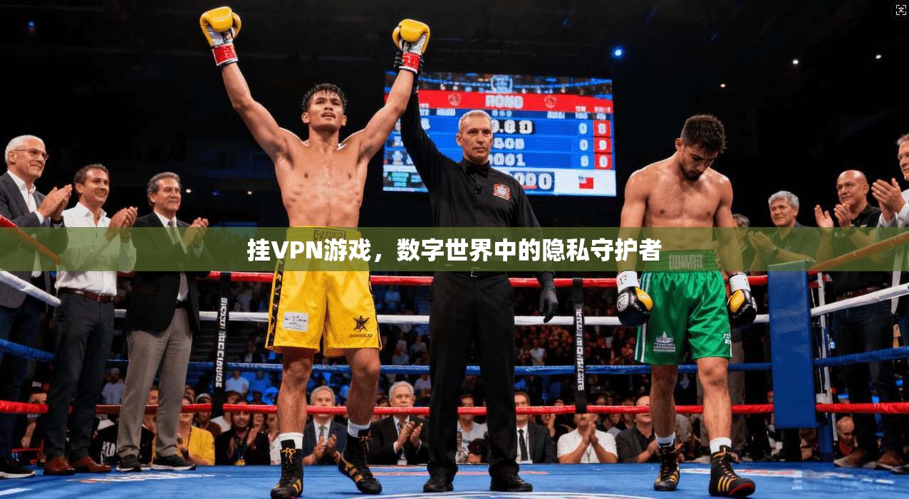 挂VPN游戏，数字世界中的隐私守护者