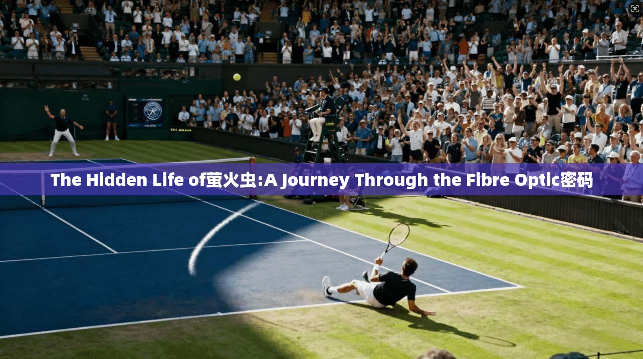 The Hidden Life of萤火虫:A Journey Through the Fibre Optic密码