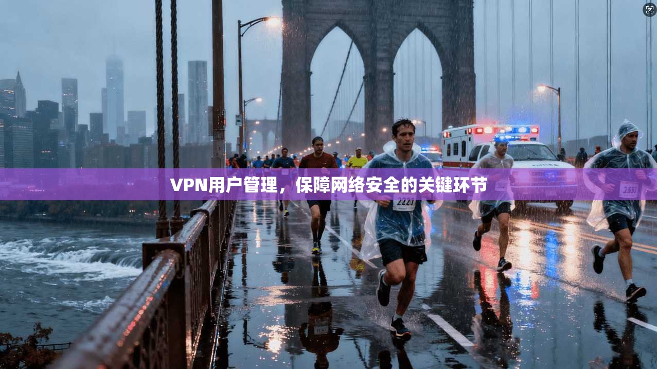 VPN用户管理，保障网络安全的关键环节
