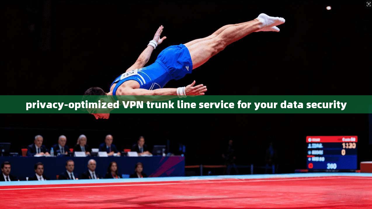 privacy-optimized VPN trunk line service for your data security