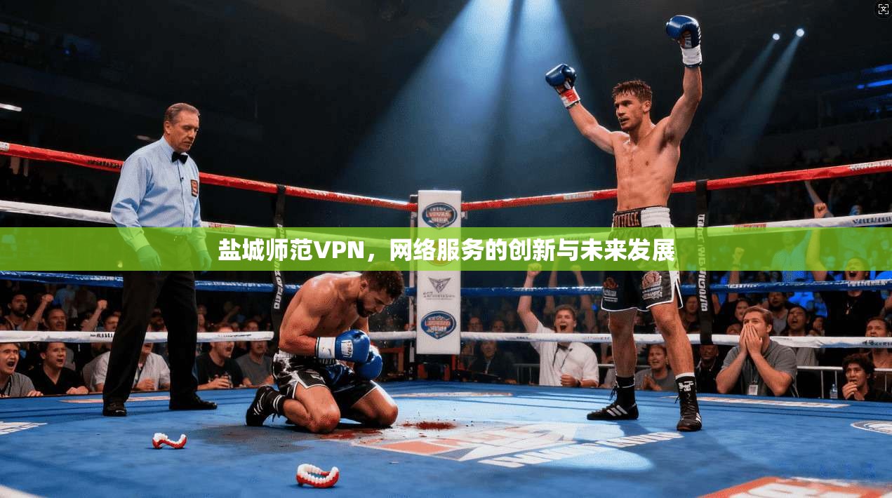 盐城师范VPN，网络服务的创新与未来发展