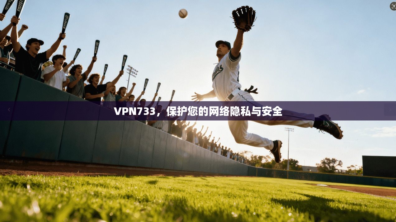 VPN733，保护您的网络隐私与安全  第1张