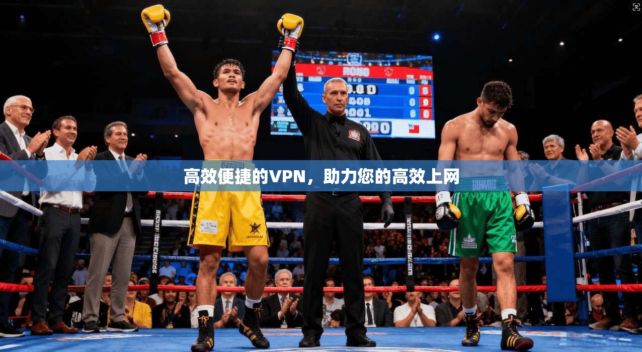 高效便捷的VPN，助力您的高效上网  第1张