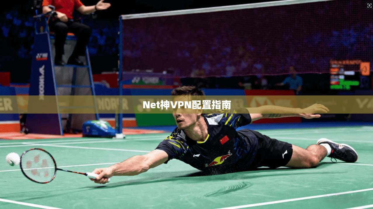 Net神VPN配置指南