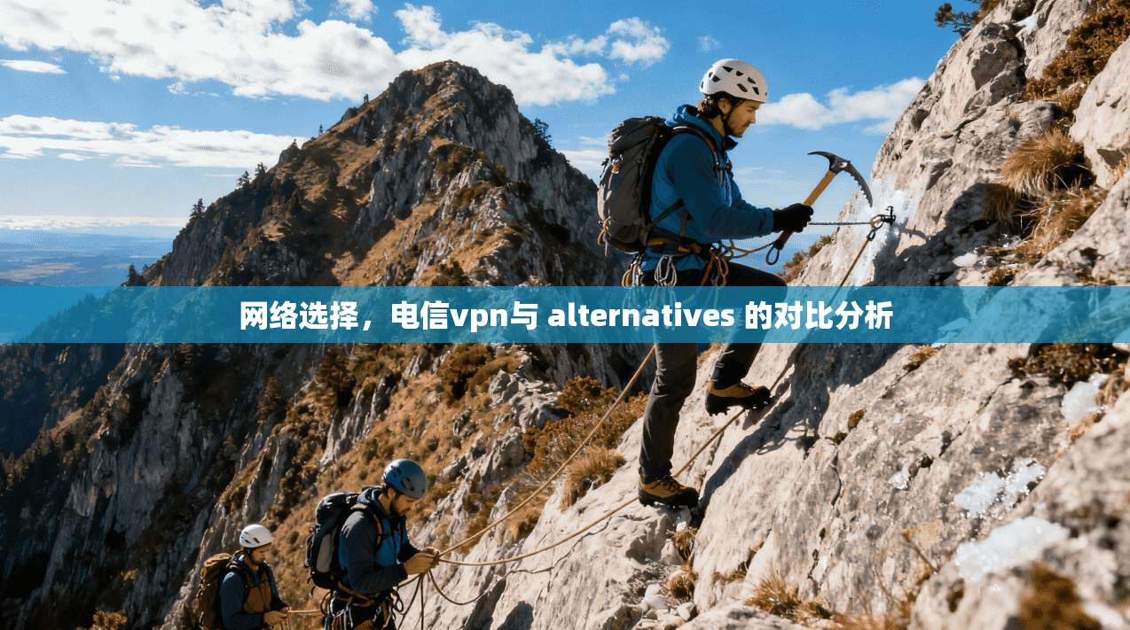 网络选择，电信vpn与 alternatives 的对比分析  第1张