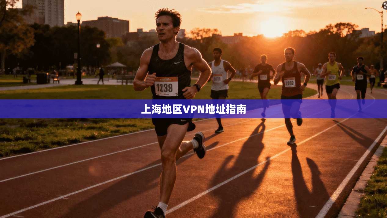 上海地区VPN地址指南  第1张