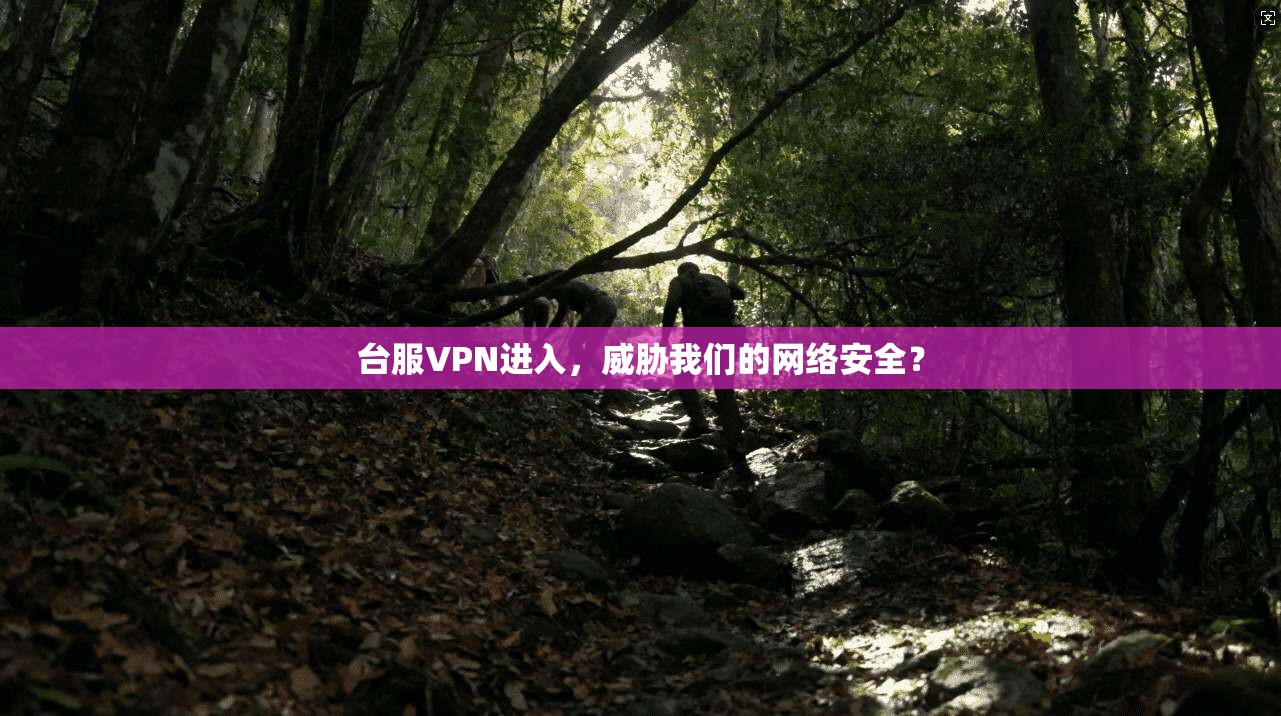 台服VPN进入，威胁我们的网络安全？  第1张