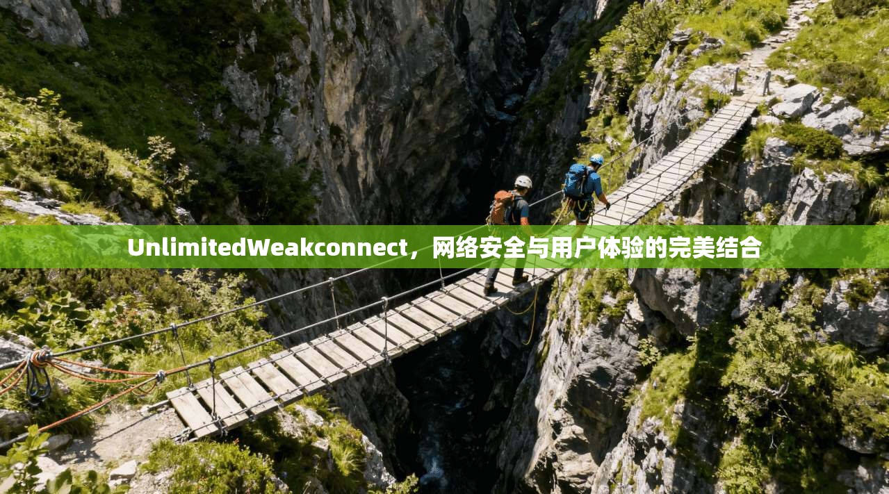 UnlimitedWeakconnect，网络安全与用户体验的完美结合