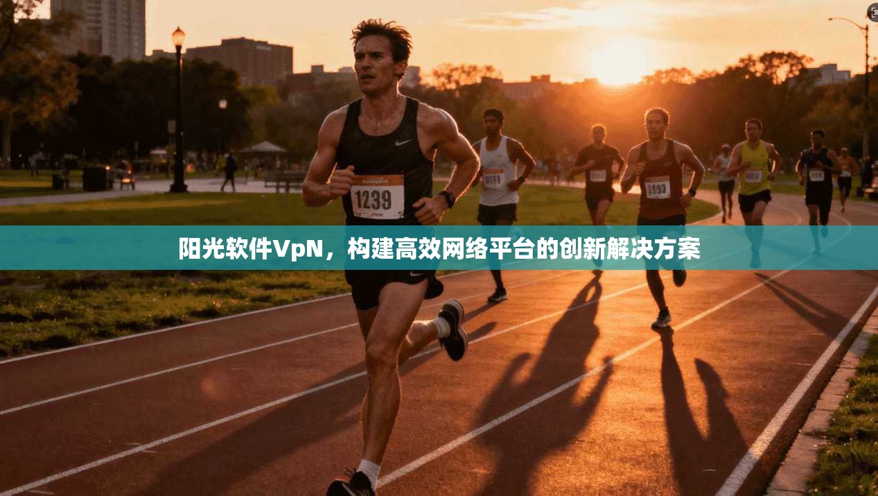 阳光软件VpN,构建高效网络平台的创新解决方案