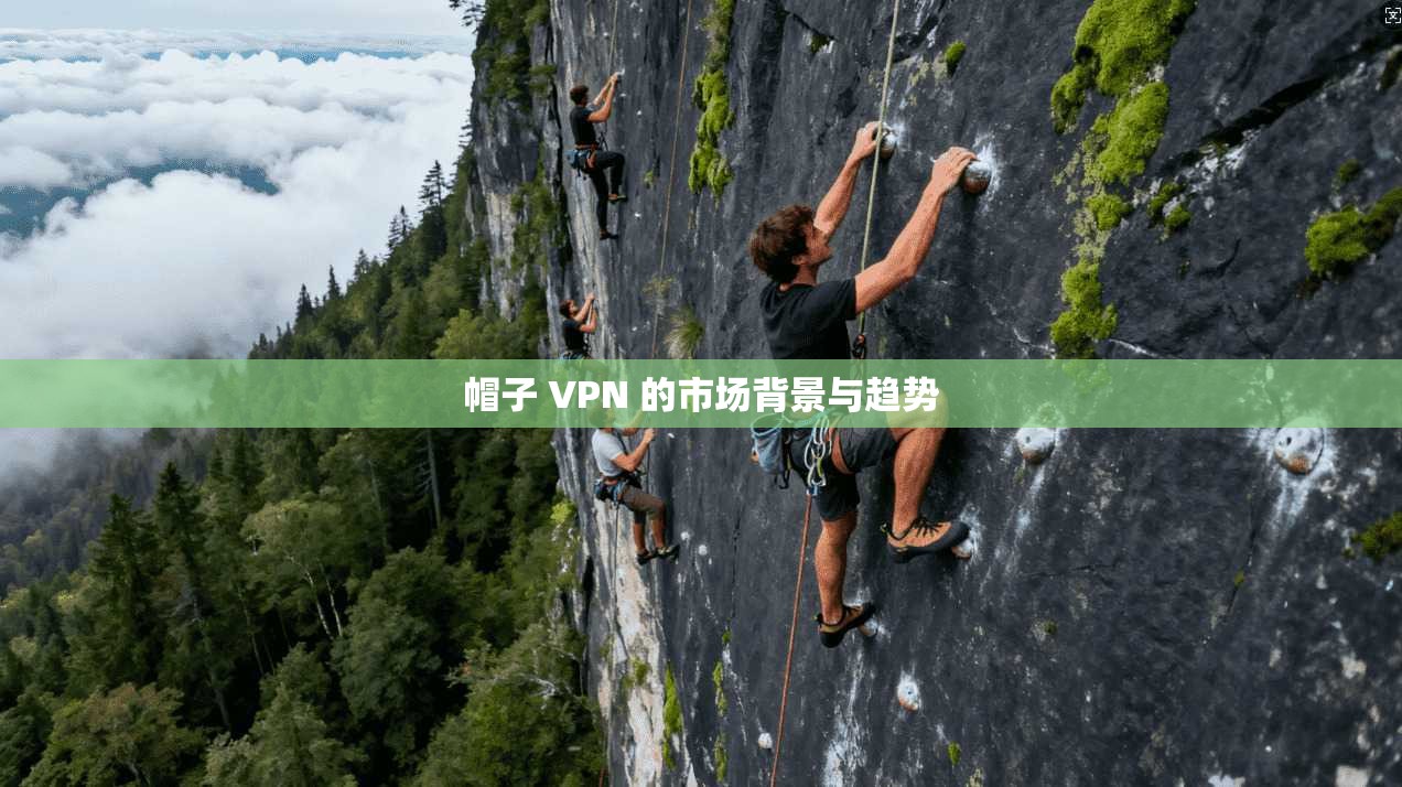 帽子 VPN 的市场背景与趋势