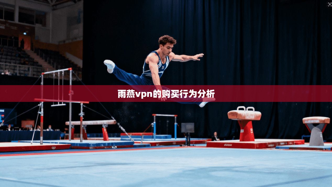雨燕vpn的购买行为分析