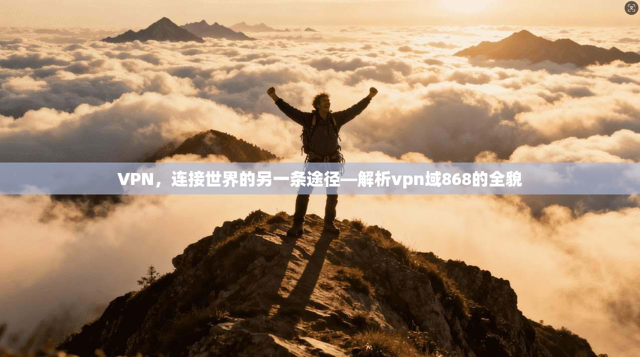 VPN，连接世界的另一条途径—解析vpn域868的全貌