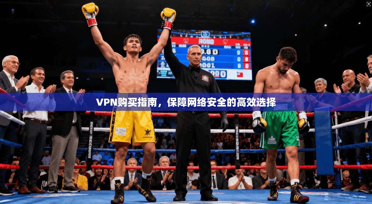 VPN购买指南，保障网络安全的高效选择