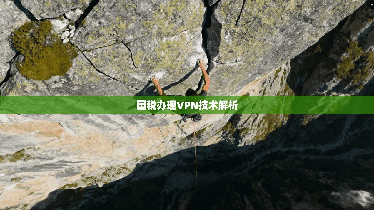 国税办理VPN技术解析