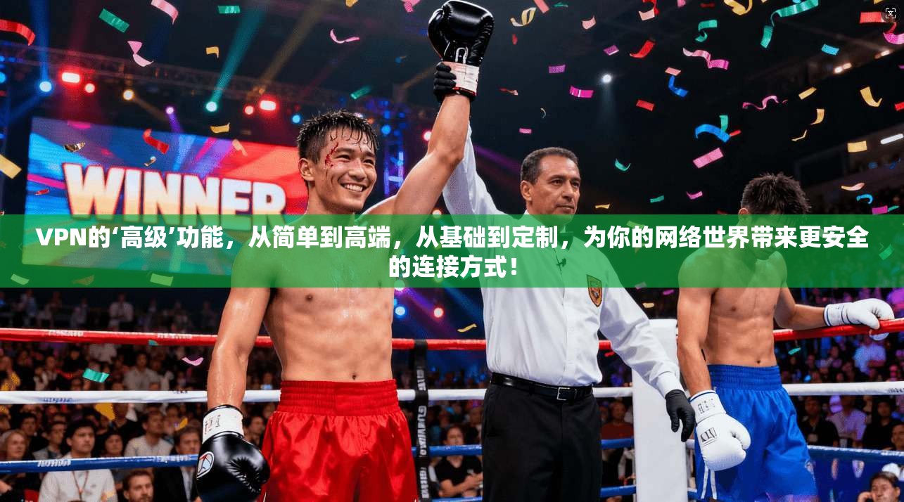 VPN的‘高级’功能，从简单到高端，从基础到定制，为你的网络世界带来更安全的连接方式！