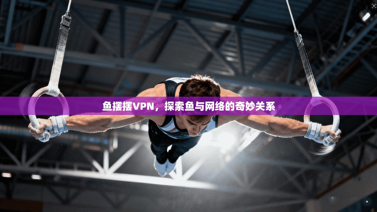 鱼摆摆VPN，探索鱼与网络的奇妙关系