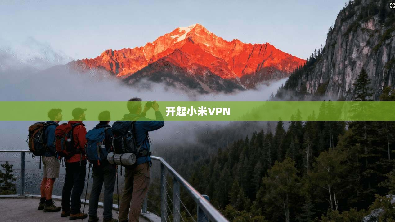 开起小米VPN
