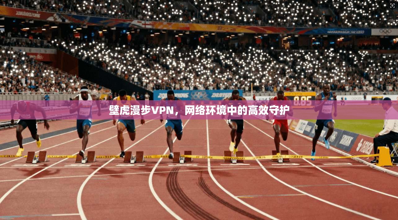壁虎漫步VPN,网络环境中的高效守护