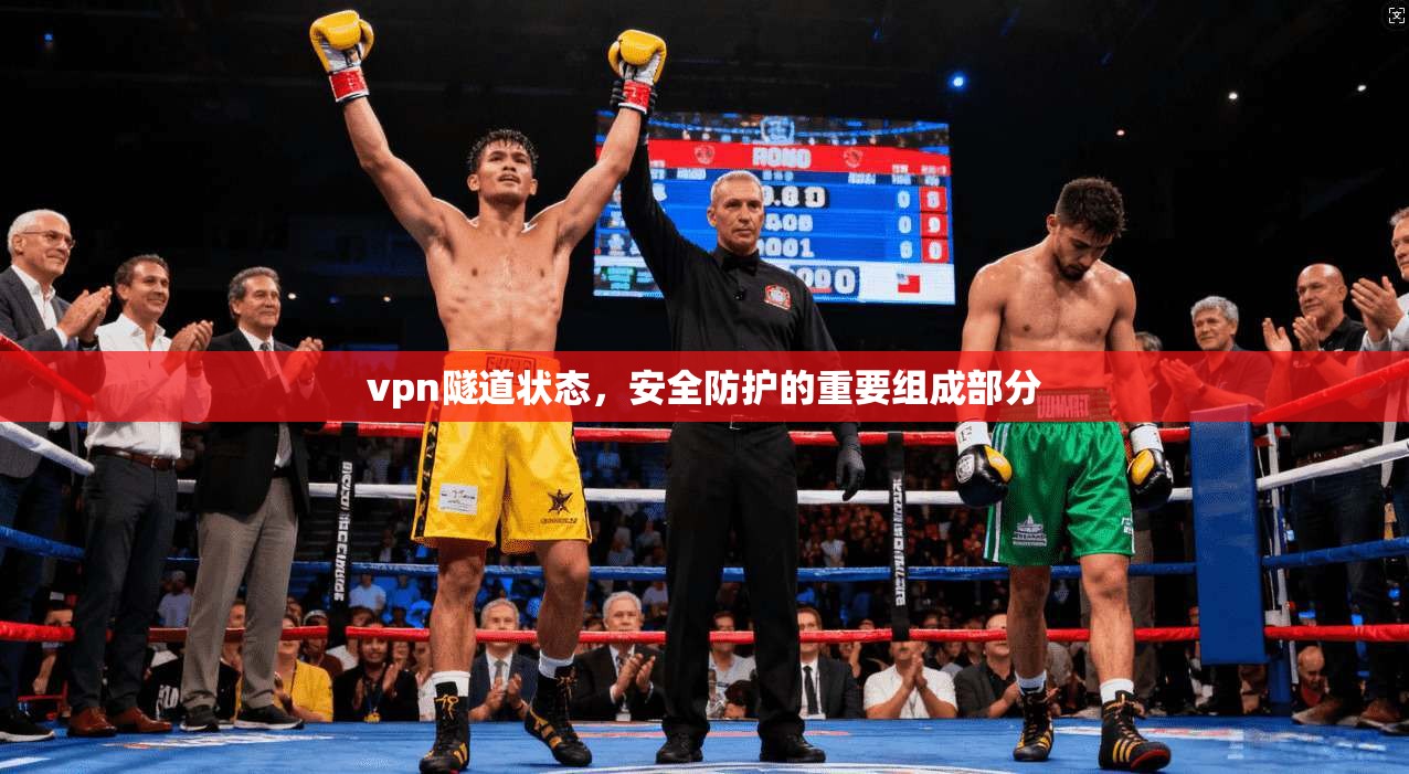 vpn隧道状态,安全防护的重要组成部分
