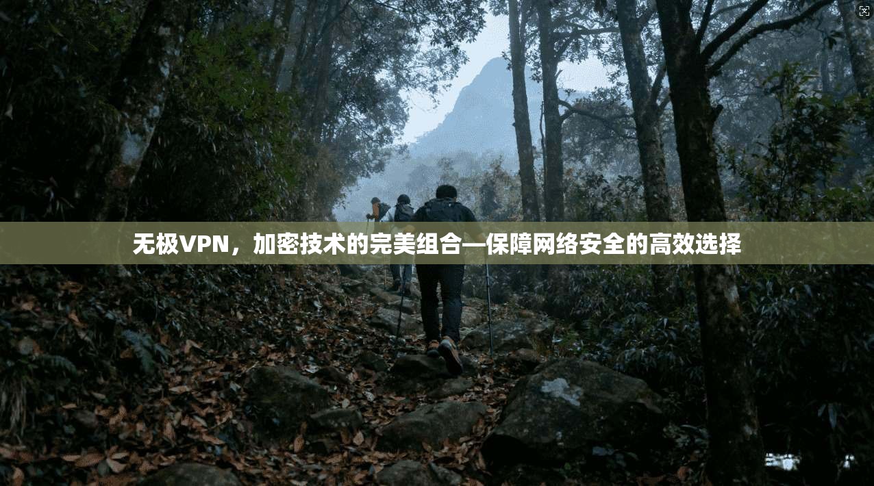 无极VPN，加密技术的完美组合—保障网络安全的高效选择