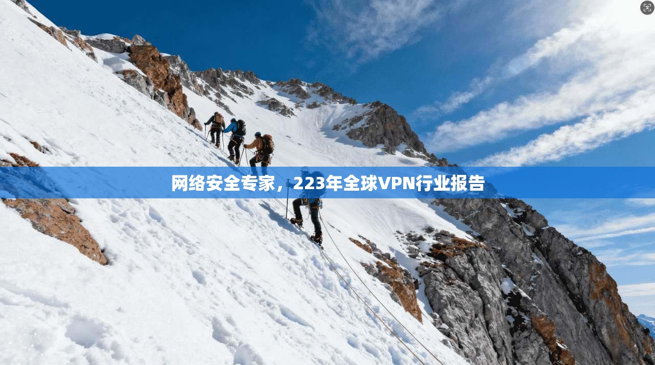 网络安全专家，223年全球VPN行业报告