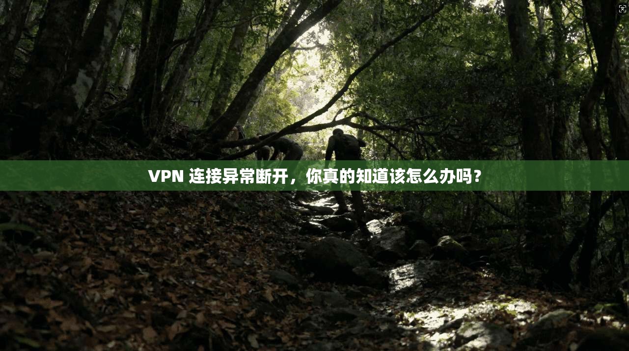 VPN 连接异常断开，你真的知道该怎么办吗？