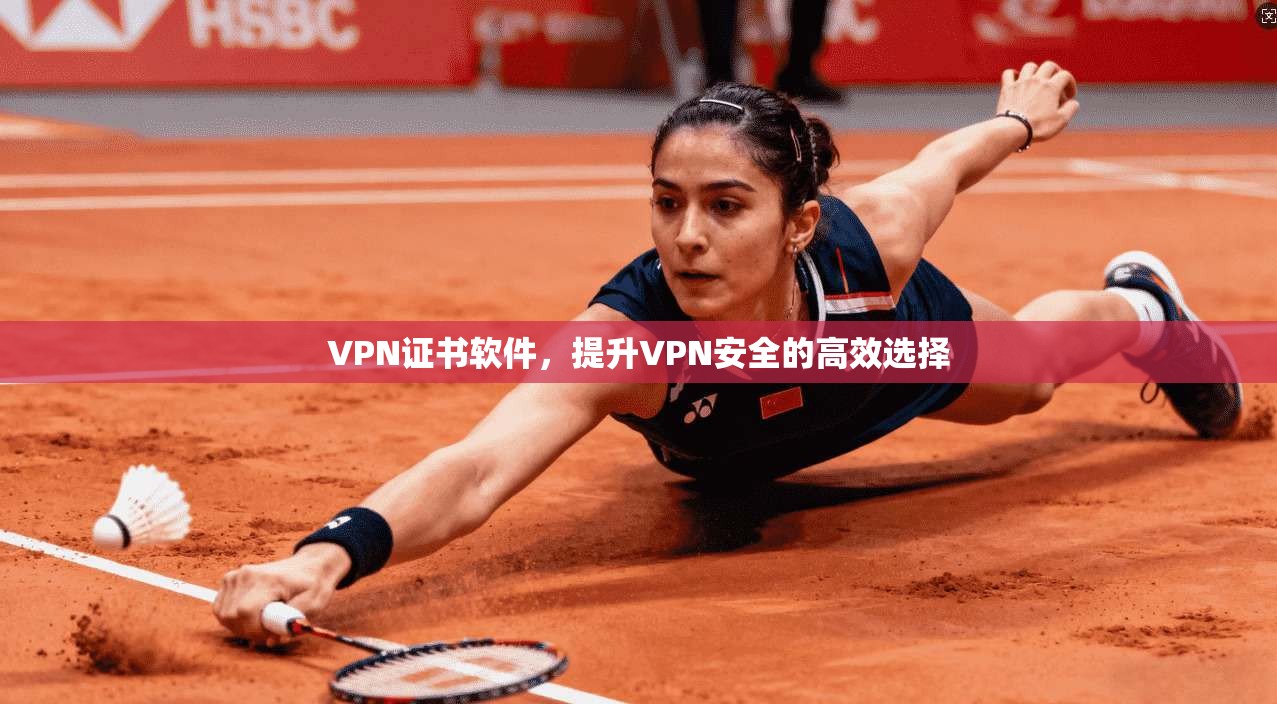 VPN证书软件，提升VPN安全的高效选择