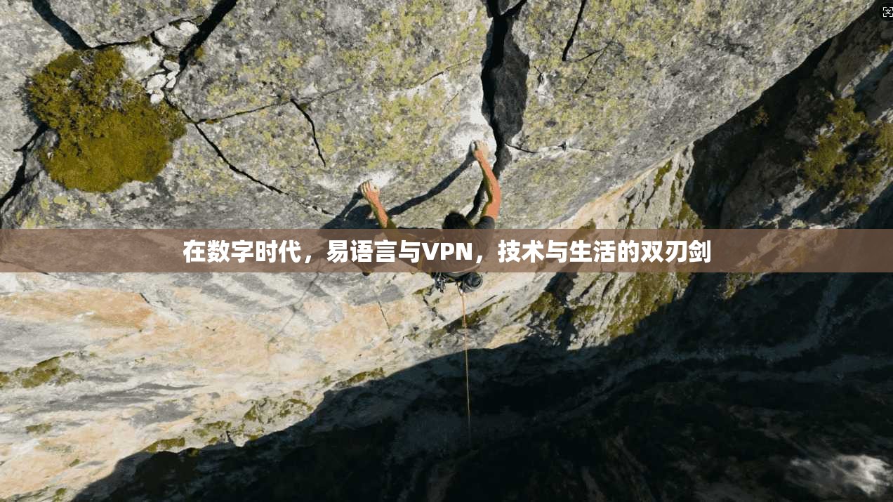 在数字时代，易语言与VPN，技术与生活的双刃剑