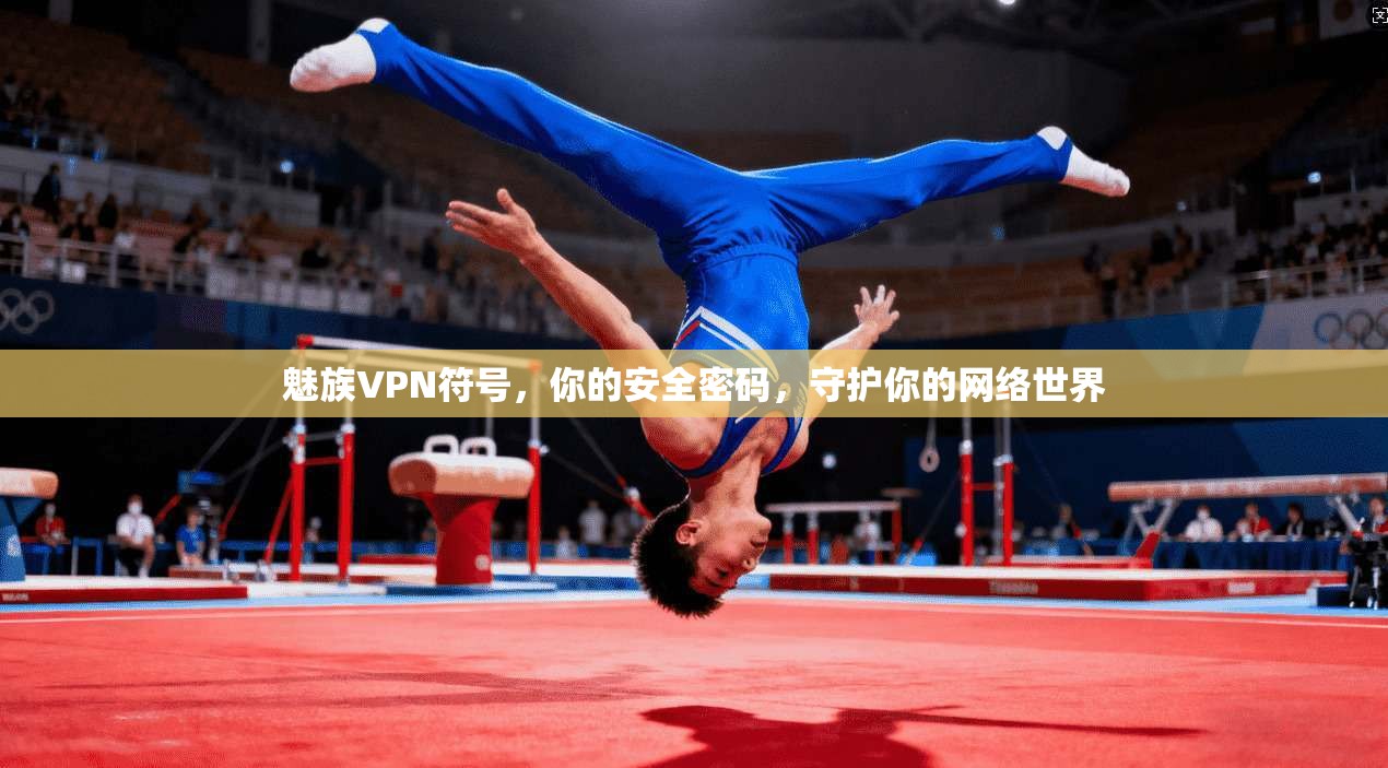 魅族VPN符号，你的安全密码，守护你的网络世界