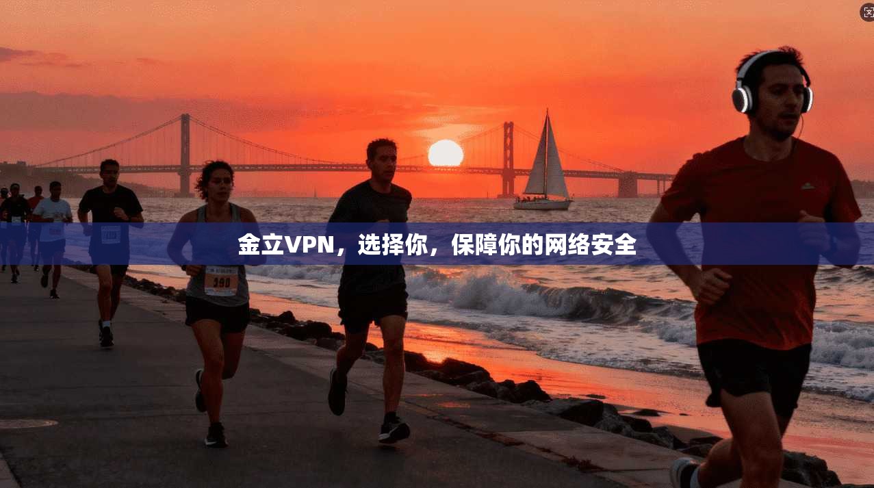 金立VPN，选择你，保障你的网络安全