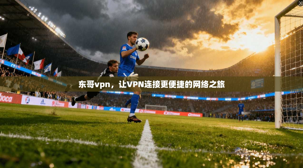 东哥vpn，让VPN连接更便捷的网络之旅