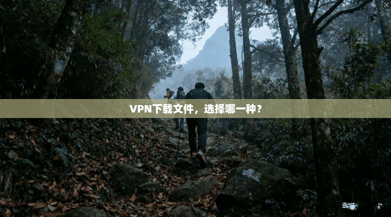 VPN下载文件，选择哪一种？