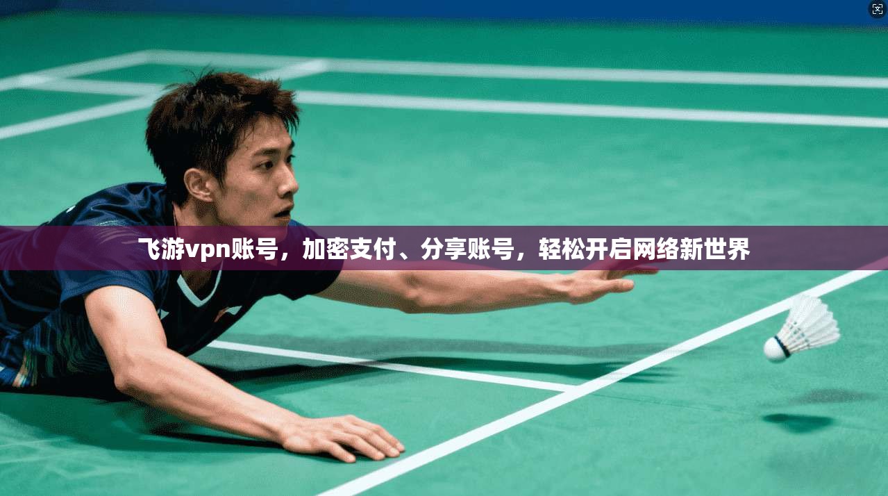 飞游vpn账号,加密支付、分享账号,轻松开启网络新世界