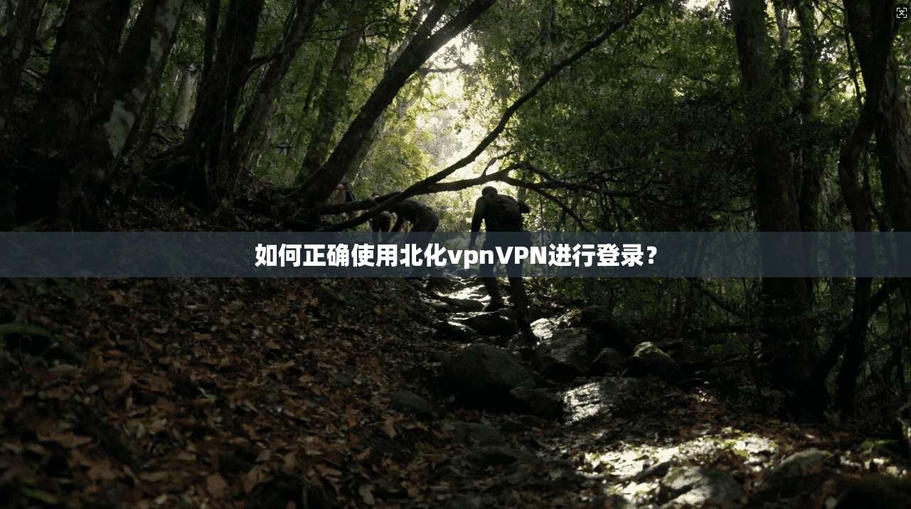 如何正确使用北化vpnVPN进行登录？