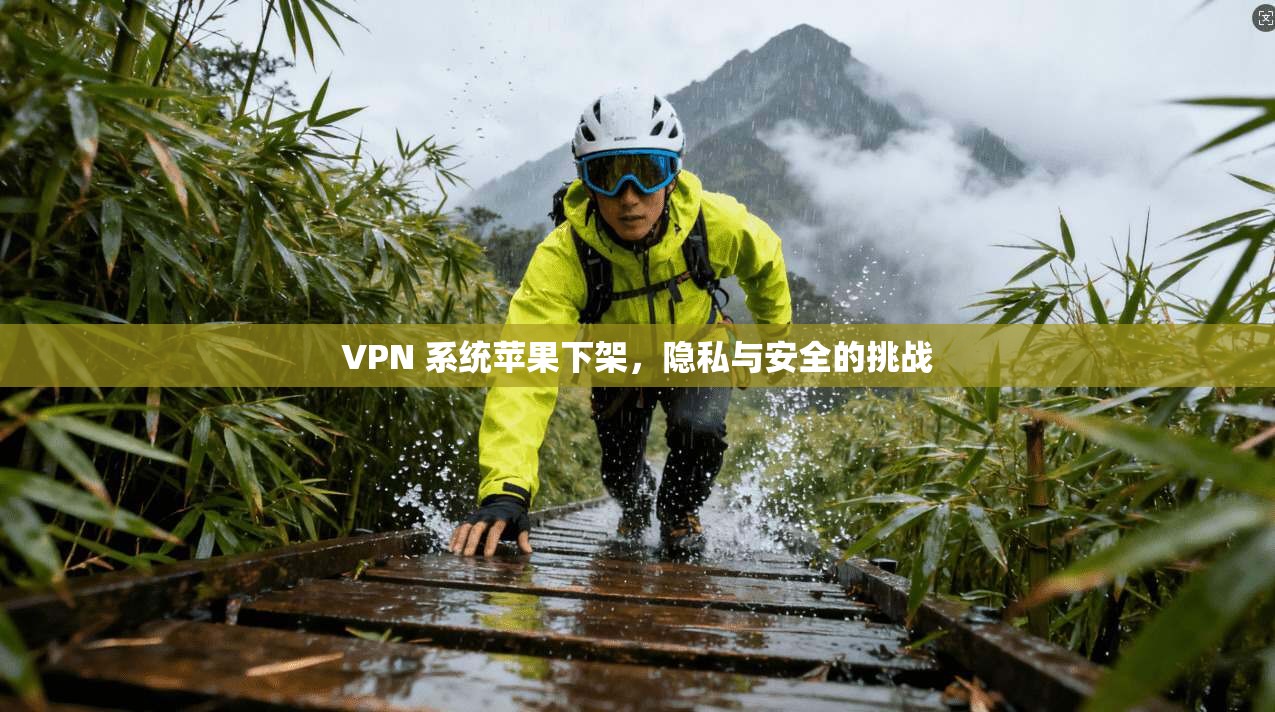 VPN 系统苹果下架,隐私与安全的挑战