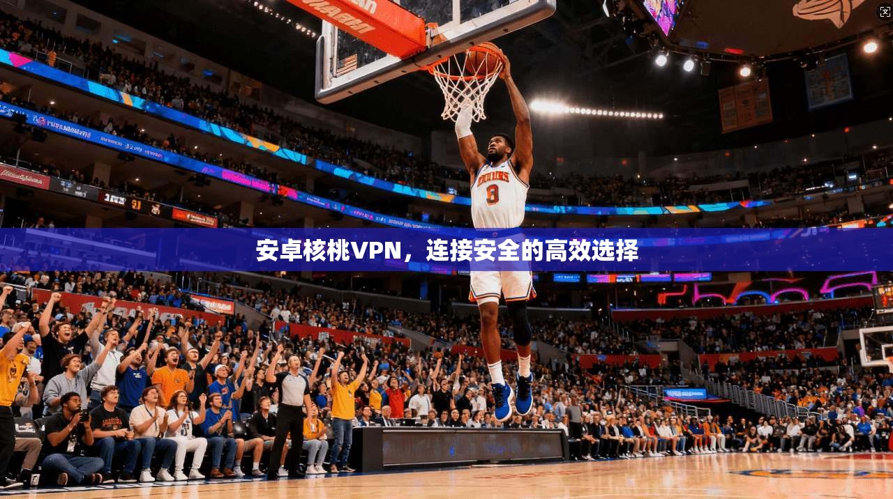 安卓核桃VPN，连接安全的高效选择
