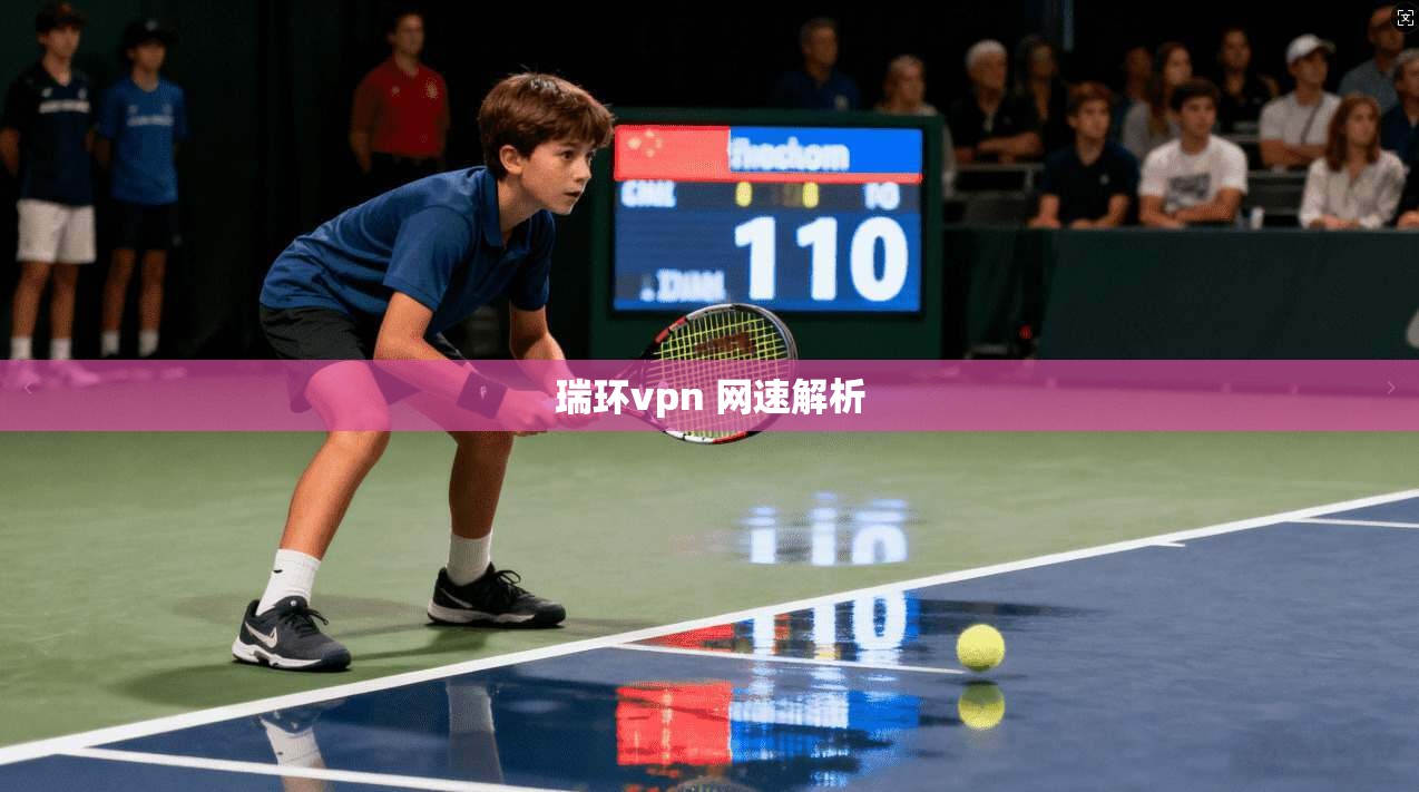 瑞环vpn 网速解析