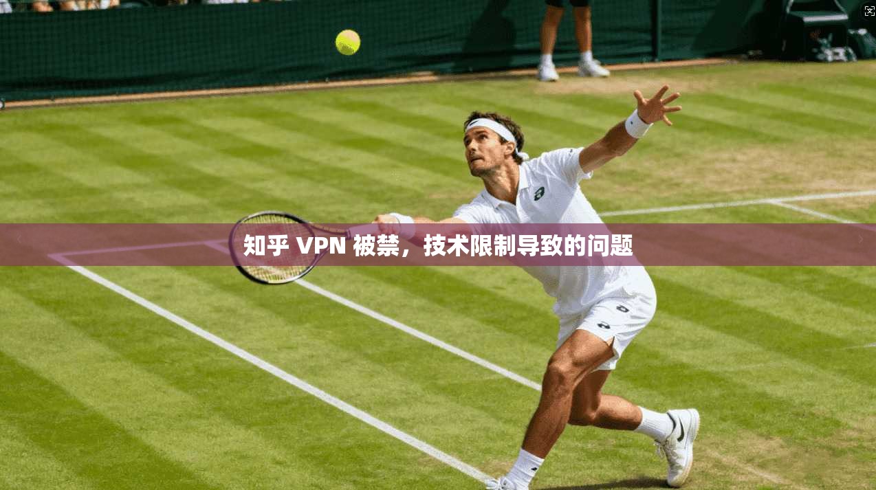 知乎 VPN 被禁，技术限制导致的问题