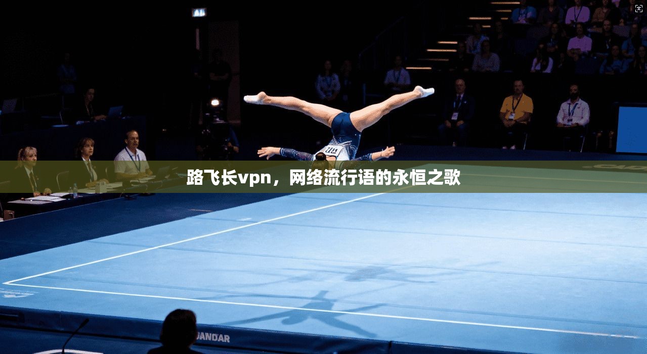 路飞长vpn，网络流行语的永恒之歌