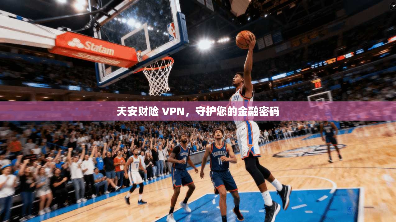 天安财险 VPN,守护您的金融密码
