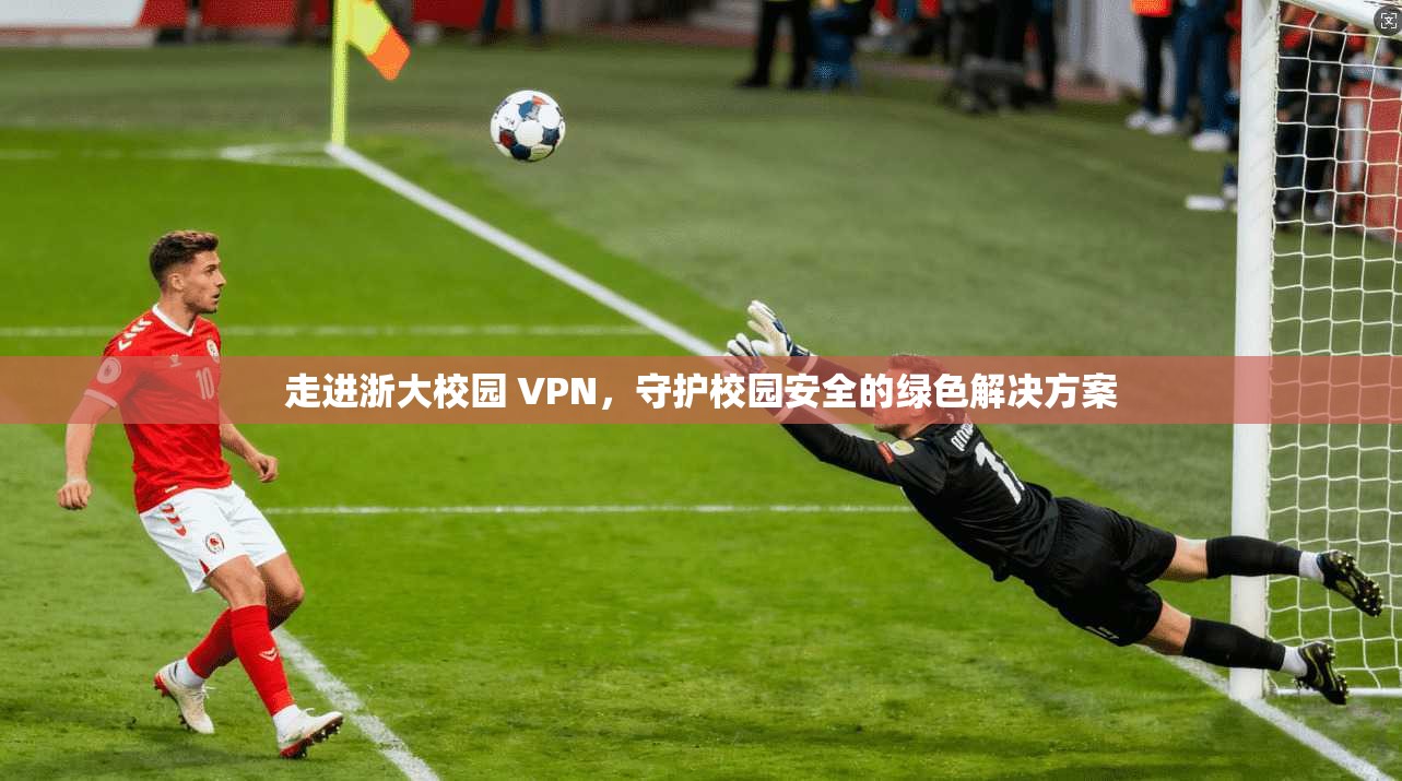 走进浙大校园 VPN，守护校园安全的绿色解决方案