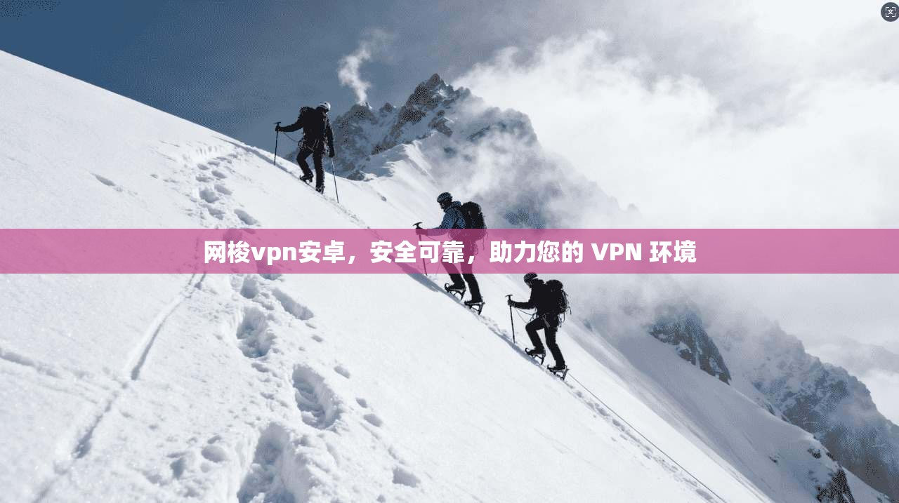 网梭vpn安卓，安全可靠，助力您的 VPN 环境