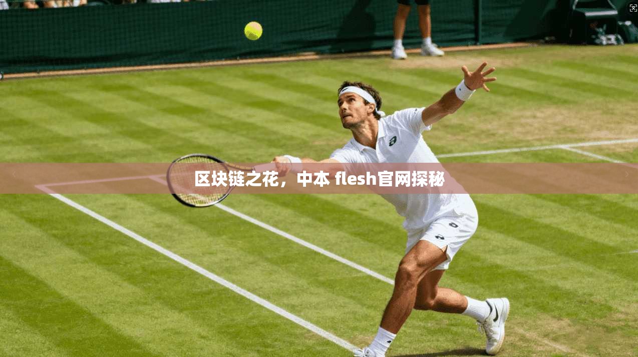 区块链之花，中本 flesh官网探秘