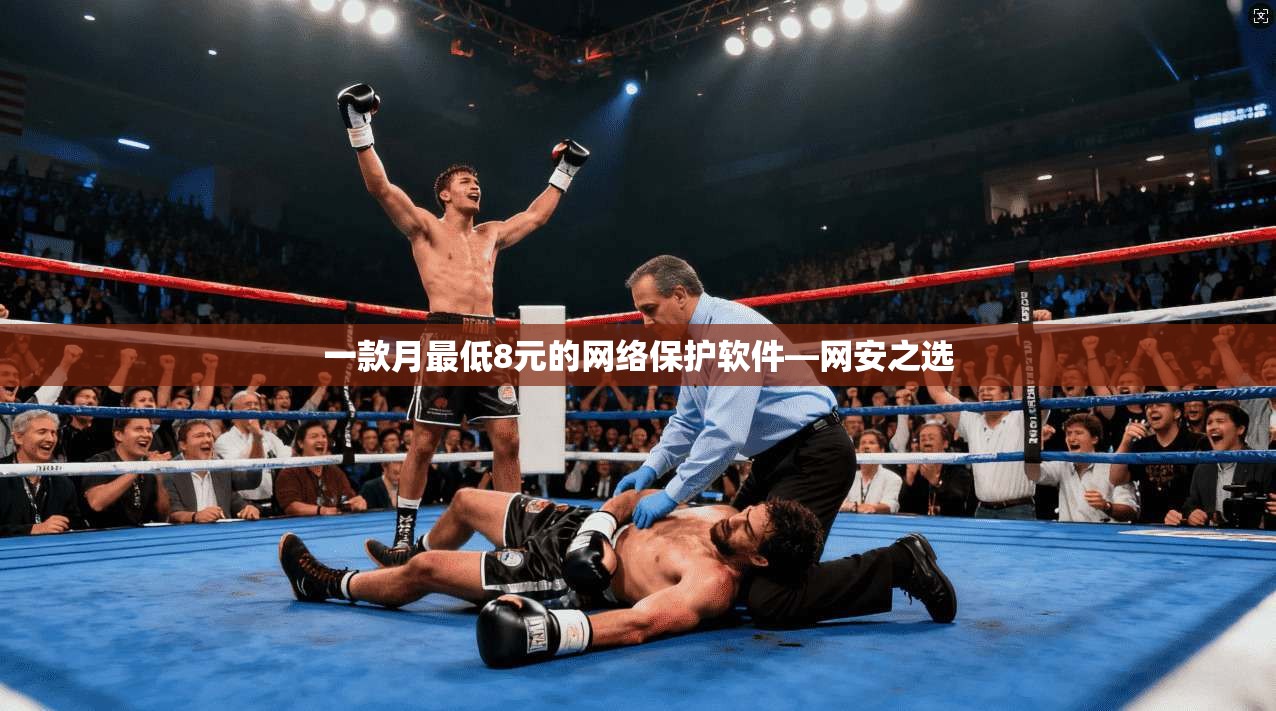 一款月最低8元的网络保护软件—网安之选
