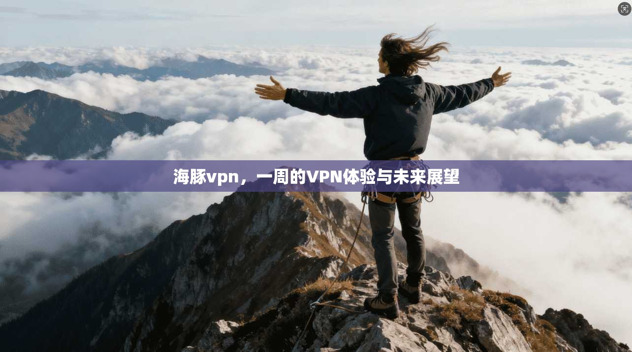 海豚vpn，一周的VPN体验与未来展望