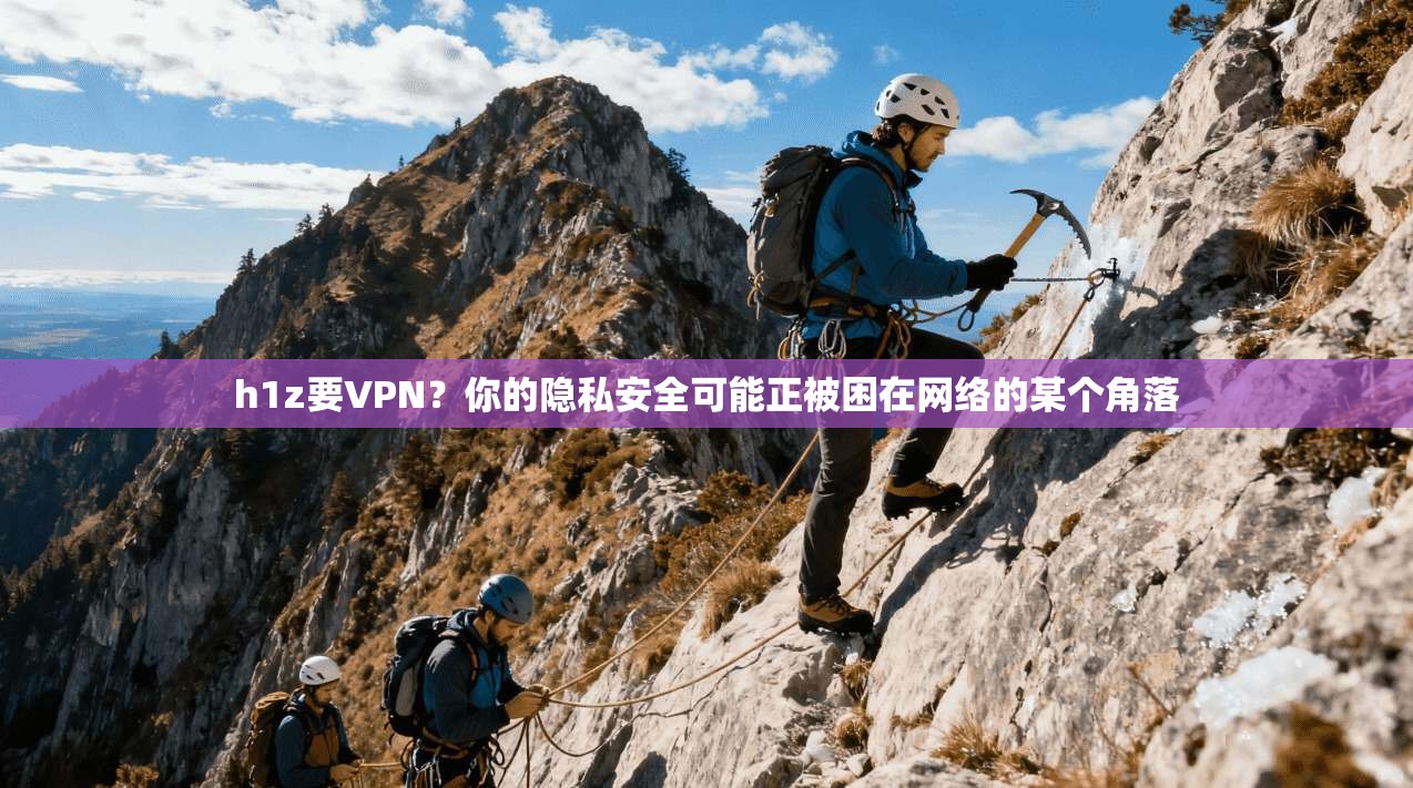 h1z要VPN?你的隐私安全可能正被困在网络的某个角落