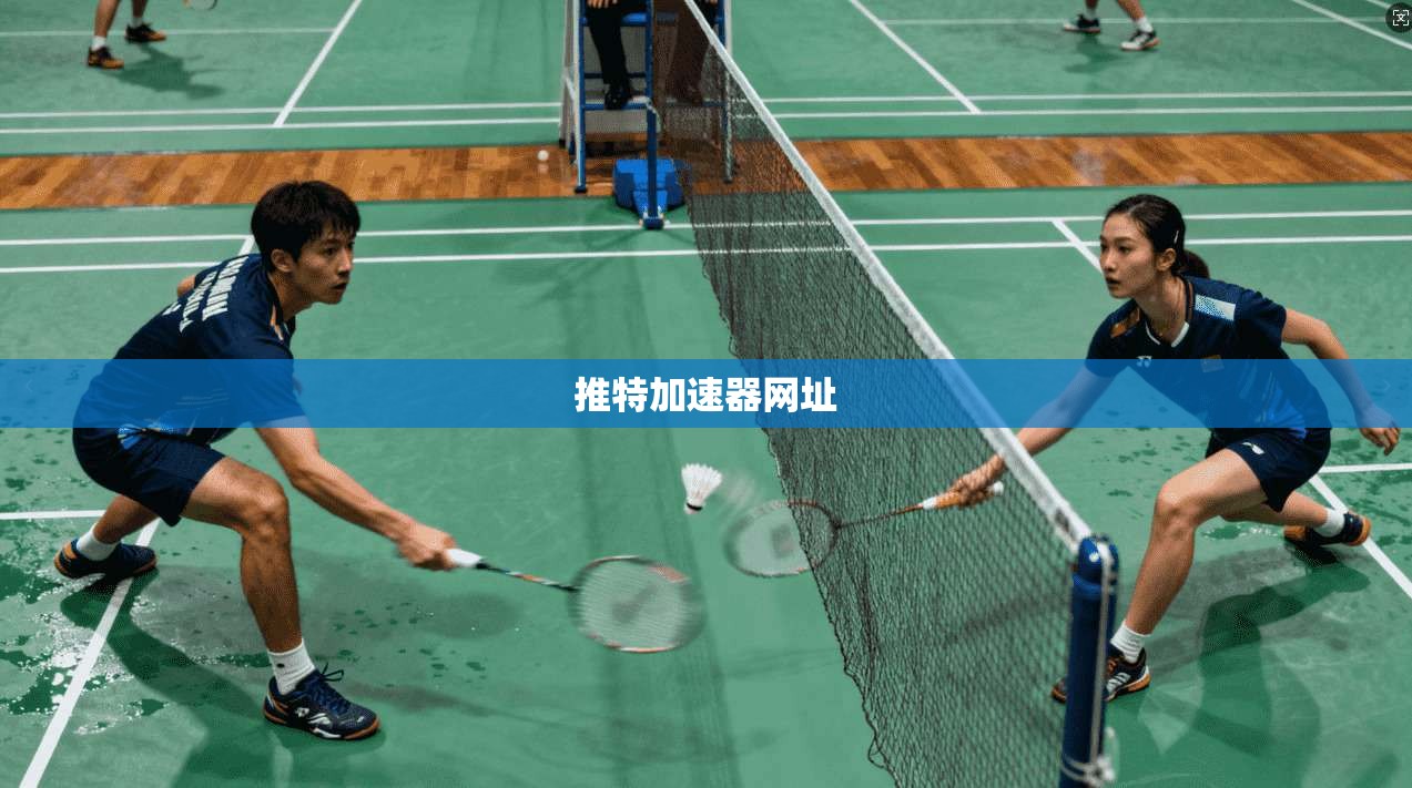 推特加速器网址