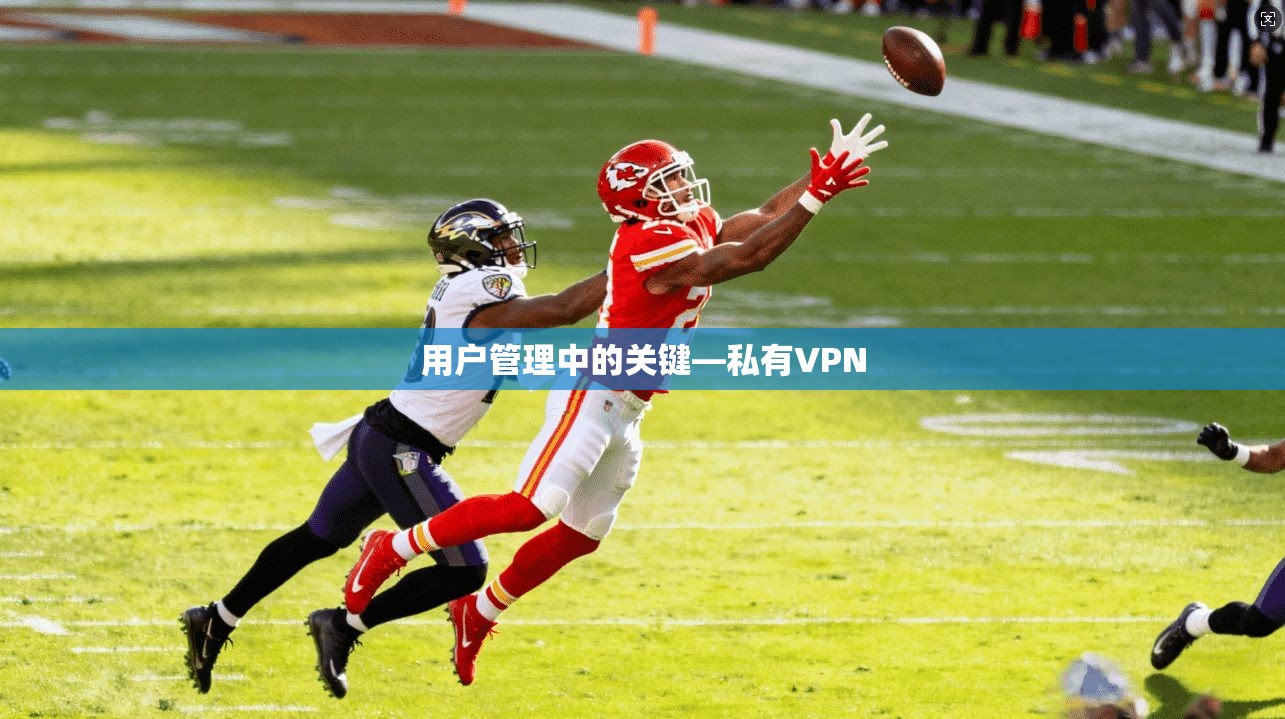 用户管理中的关键—私有VPN