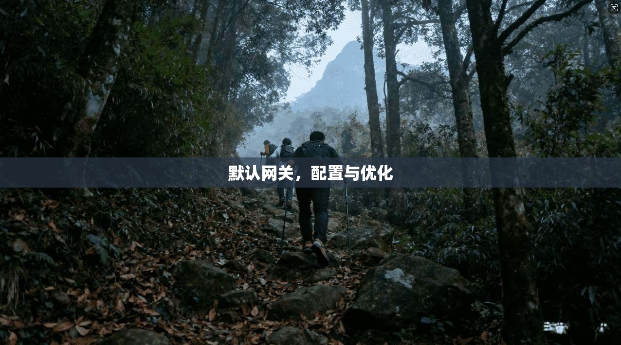 默认网关，配置与优化